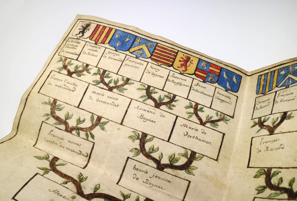 PROFESSIONAL HERALDRY