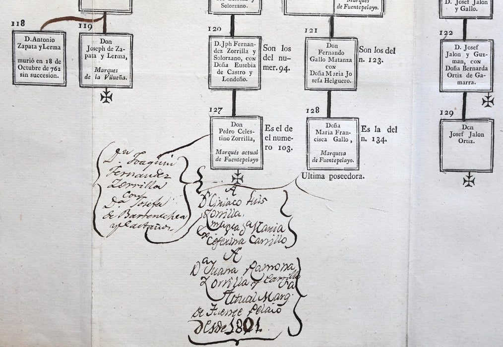 LARGE FAMILY TREE, PRINTED AND MANUSCRIPT
