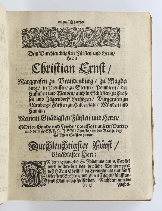 STOUT COMPANION TO LUTHER