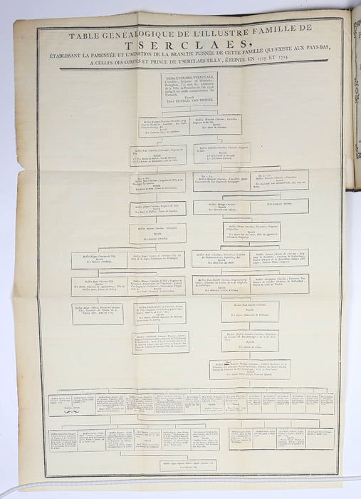 LINEAGE OF A ONE-YEAR-OLD