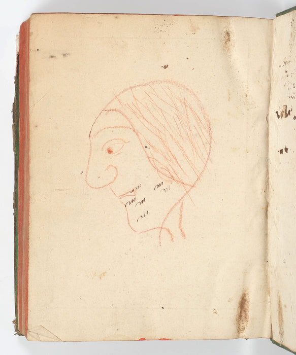 ILLUSTRATED STUDENT PHYSICS MANUSCRIPT - ISAAC NEWTON