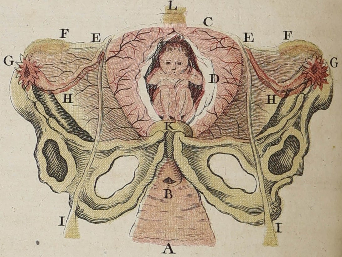SCIENCE AND MEDICINE