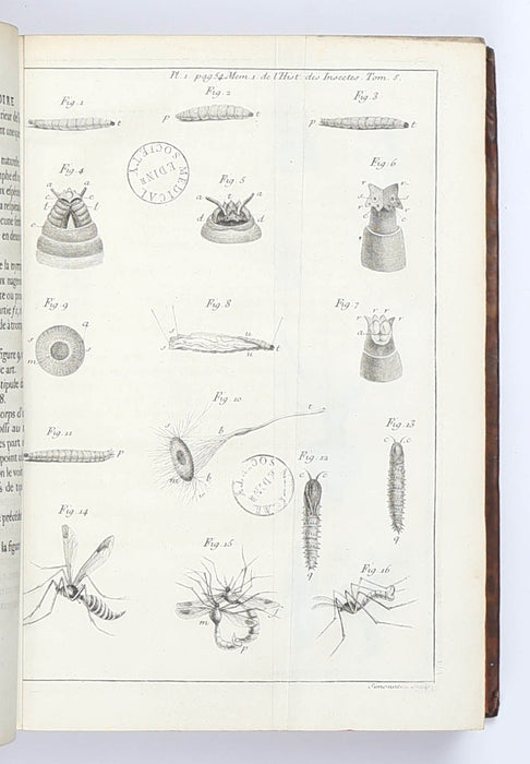 CHARLES DARWIN’S MEDICAL CLUB LIBRARY