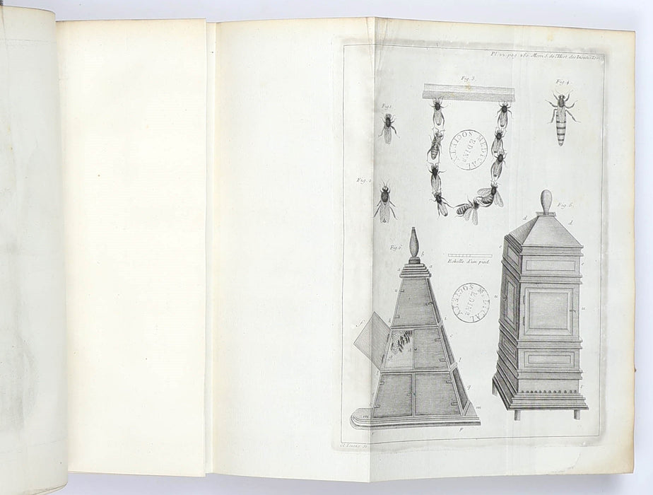 CHARLES DARWIN’S MEDICAL CLUB LIBRARY